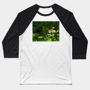 White and Yellow Flowers in a Field Baseball T-Shirt